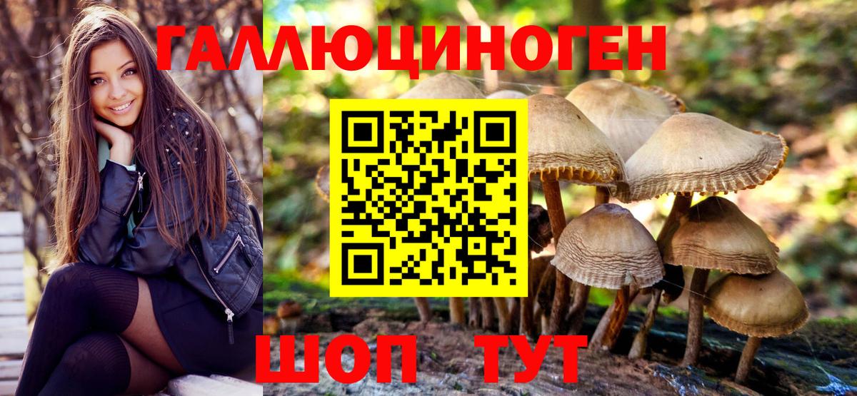 Псилоцибиновые грибы прущие грибы Шадринск